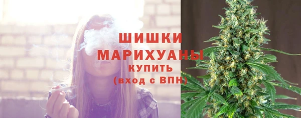 прущие грибы Касимов