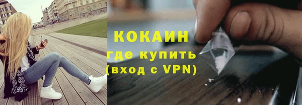 прущие грибы Касимов