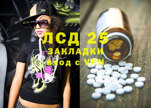 прущие грибы Касимов