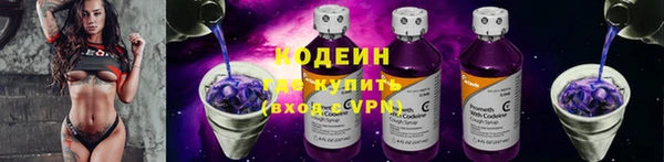 прущие грибы Касимов