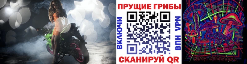 Псилоцибиновые грибы MAGIC MUSHROOMS  Купить закладки  Новочеркасск 